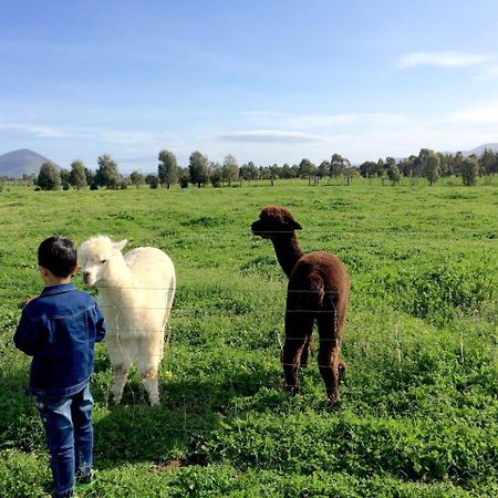 Campania Taras Richmond Farmstay מראה חיצוני תמונה