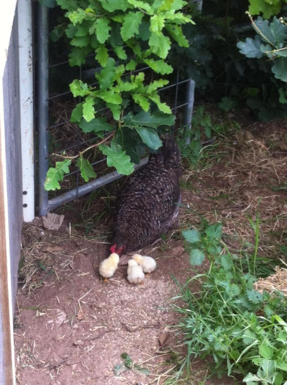 Campania Taras Richmond Farmstay מראה חיצוני תמונה