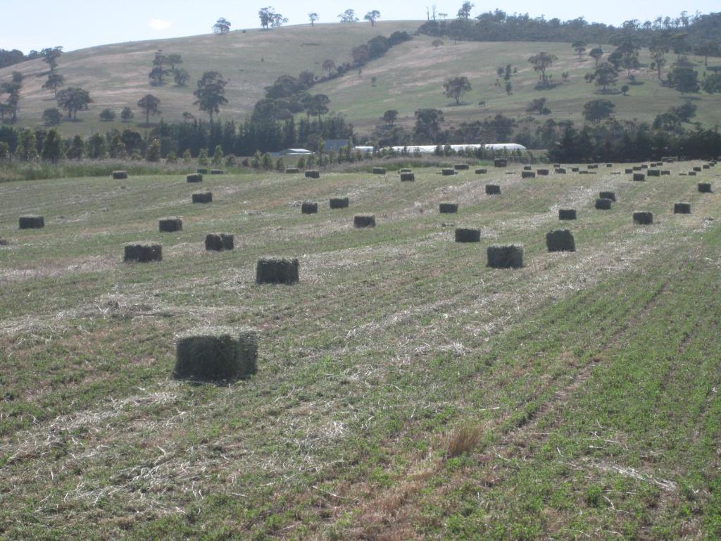 Campania Taras Richmond Farmstay מראה חיצוני תמונה