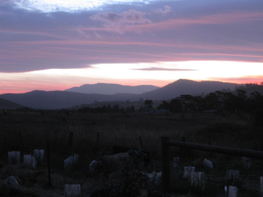 Campania Taras Richmond Farmstay מראה חיצוני תמונה
