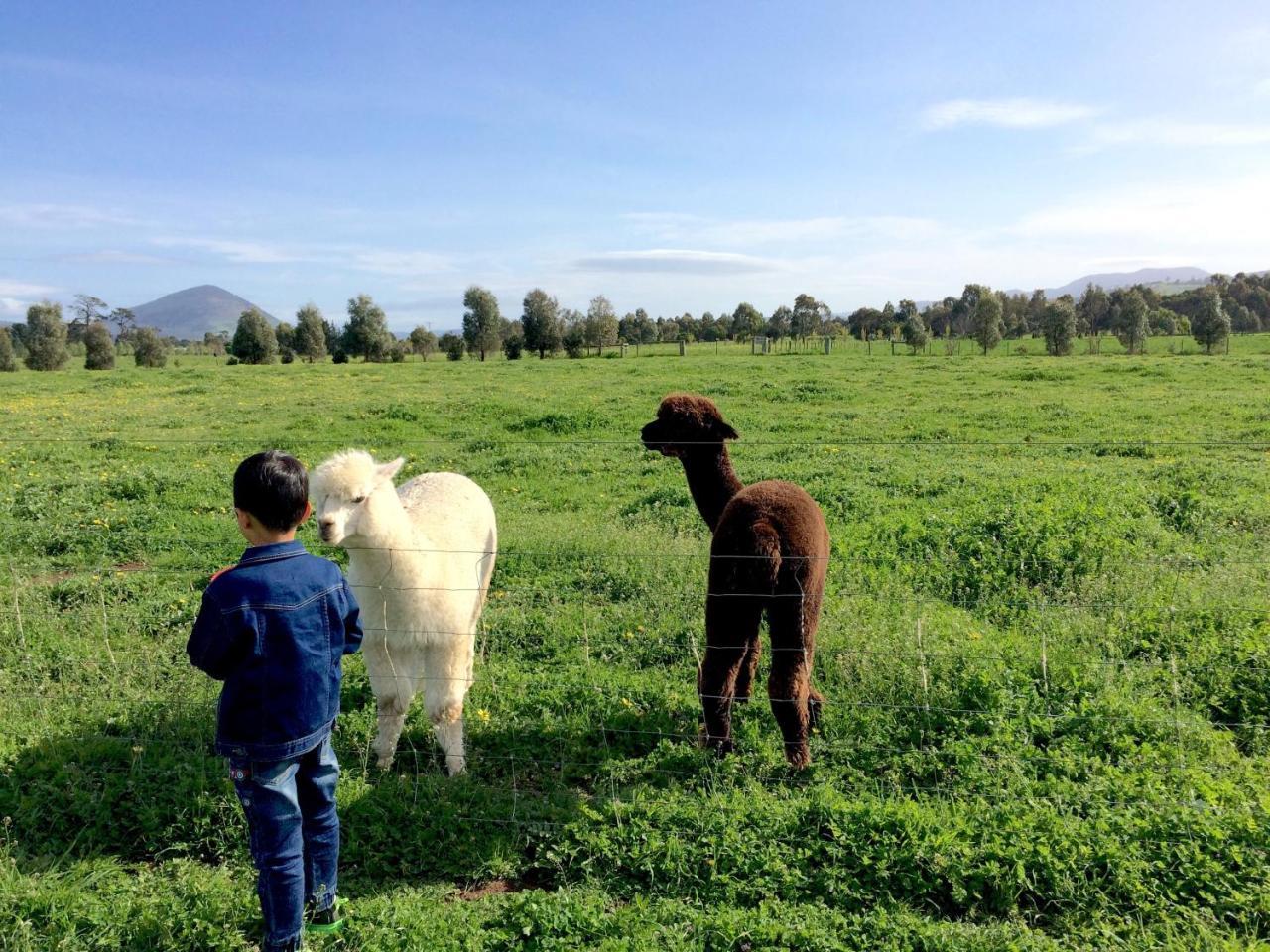 Campania Taras Richmond Farmstay מראה חיצוני תמונה